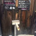 帝松の写真_83765