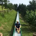 仙元山見晴らしの丘公園の写真_83887