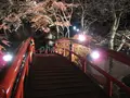 伊香保温泉の石段街の写真_84075