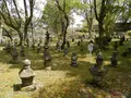 杵築城の写真_84384