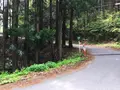 天空の学校の写真_84440