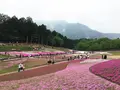 羊山公園の写真_84450