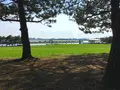 葛西臨海公園の写真_84469