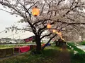 埼玉県朝霞県土整備事務所の写真_84627