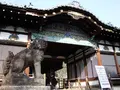 御香宮神社の写真_85219