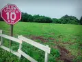 FBI DAISENの写真_85269