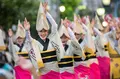 高円寺阿波踊りの写真_86485