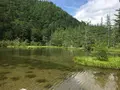 明神池の写真_86788
