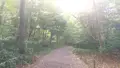金沢城公園の写真_87172