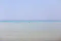 茂木浜海水浴場の写真_87211