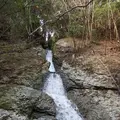 白嶽の写真_87264