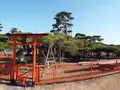 唐崎神社の写真_87297