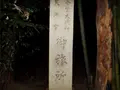 シガイの森の写真_87308