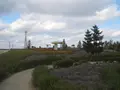 ひまわりの丘公園の写真_87345
