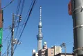 サクラホステル浅草の写真_87490