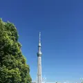 言問橋の写真_87496