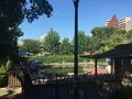 隅田公園の写真_87498