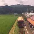 郡上八幡の水屋の写真_87525