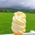 財団法人キープ協会農場の写真_87587