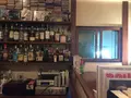 Rojiの写真_87718