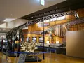 丹波竜化石工房ちーたんの館の写真_87808
