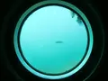 足摺海底館の写真_88124