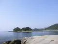 足摺海底館の写真_88126