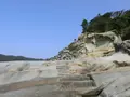 足摺海底館の写真_88127