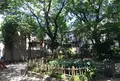 HAGI CAFE（ハギ カフェ）の写真_88156