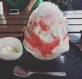 雪うさぎの写真_88230