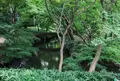 六義園の写真_88303