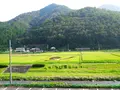 シルク温泉　やまびこの写真_88313