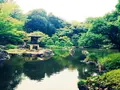 旧古河庭園の写真_88339