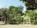 鳩森八幡神社の写真_88442