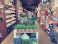 BLUM＆POEの写真_88474