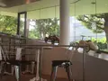 モンキー カフェ （Monkey Cafe） の写真_88640
