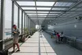 エアポートウォーク名古屋の写真_88676