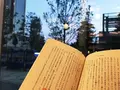 スターバックスコーヒー TSUTAYA横浜みなとみらい店の写真_88727