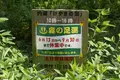 万博記念公園の写真_88947