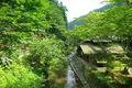 法師温泉 長寿館の写真_89077