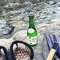 郡上市の写真_89333