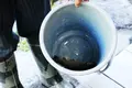 お食事処ます園文助の写真_89363