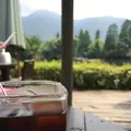 金鱗湖の写真_89379