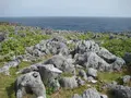 辺戸岬の写真_89423