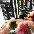 手風琴の写真_89497