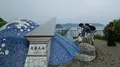 角島の写真_89640