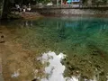 別府弁天池の写真_89673