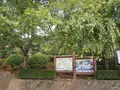 丸岡城の写真_89753