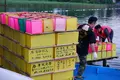 木崎湖の写真_89903