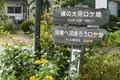 中綱の集落をブラ歩きの写真_89913
